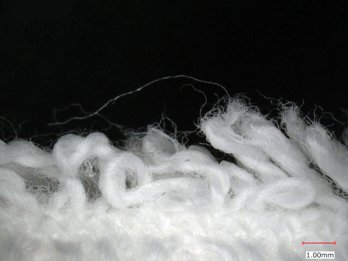 シャープ「ES-12X1」