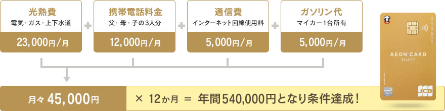 �u�C�I���S�[���h�J�[�h�v���s����