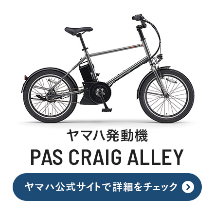 ���}�n�����@�uPAS CRAIG ALLEY�v