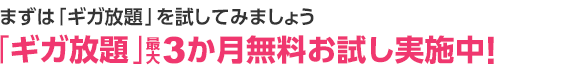 まずは「ギガ放題」を試してみましょう。「ギガ放題」最大3か月無料お試し実施中!