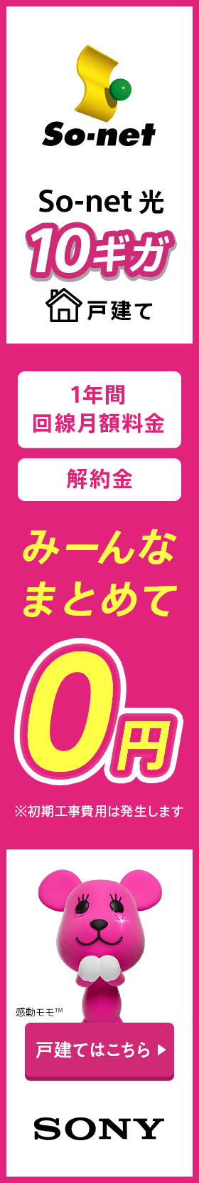 So-net 光