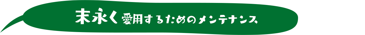 ip邽߂̃eiX