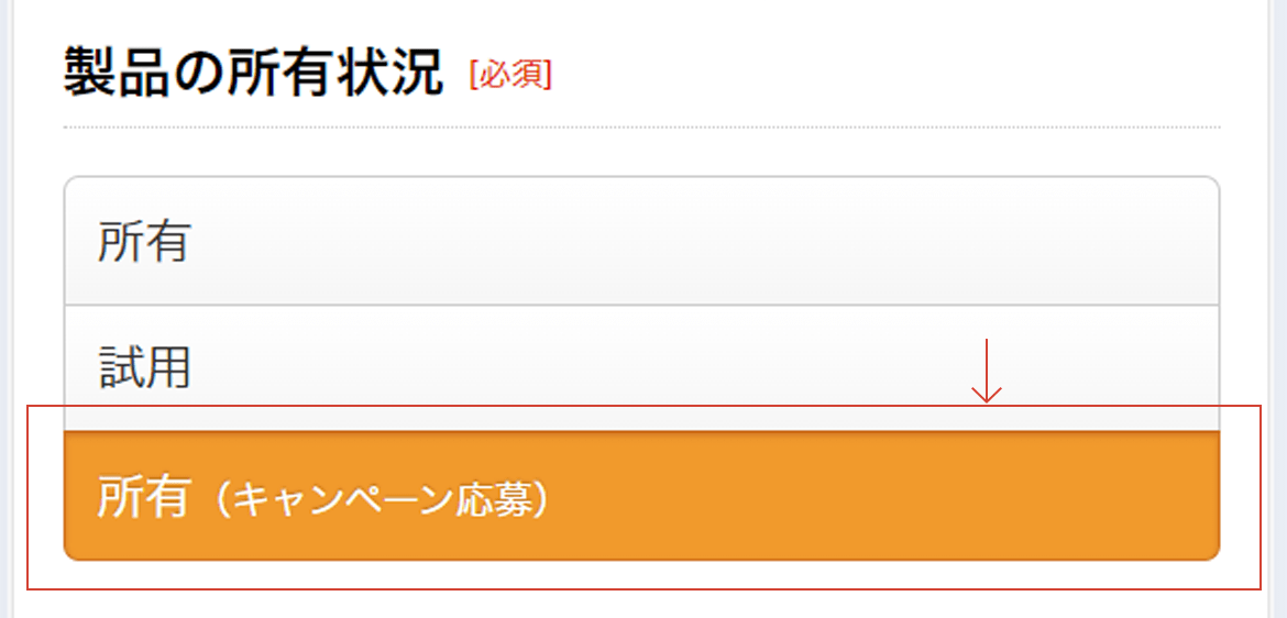LiLy[j̕\ꏊ