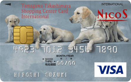 �ʐ썂����S�EC�J�[�h�C���^�[�i�V���i���i�ӓ����琬�T�|�[�g�J�[�h�j