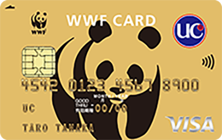 WWFカード10枚一組2パターン