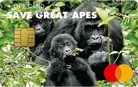 SAVE THE GREAT APES�J�[�h