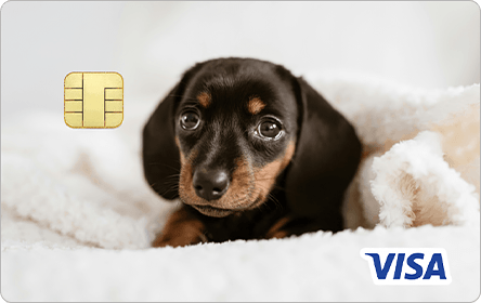 �G�|�X�y�b�g�J�[�h