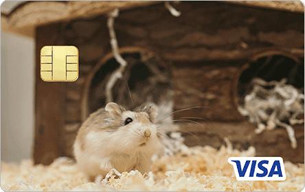 �G�|�X�y�b�g�J�[�h2