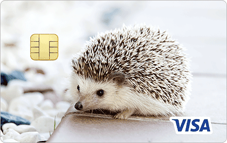 �G�|�X�y�b�g�J�[�h3