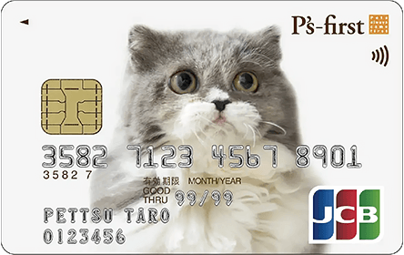 �y�b�c�t�@�[�X�g�J�[�h2