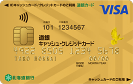 ����L���b�V���E�N���W�b�g�J�[�h VISA�S�[���h