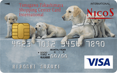 ʐ썂SECJ[hC^[iViiӓ琬T|[gJ[hj