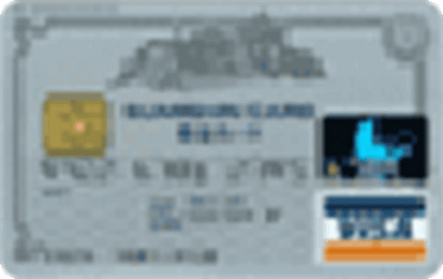 �Z�MVISA�J�[�h