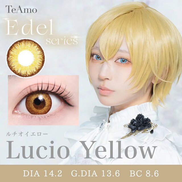 TeAmo(�e�B�A��) 1day ���i�摜 -14-
