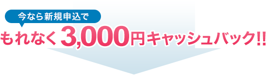 今なら新規申込でもれなく3,000円キャッシュバック!!
