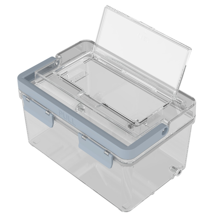 �s���A���C�tS 1