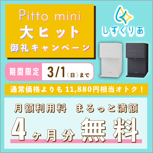 Pitto mini 1