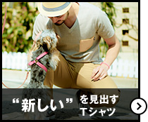 �h�V�����h�����o��T�V���c