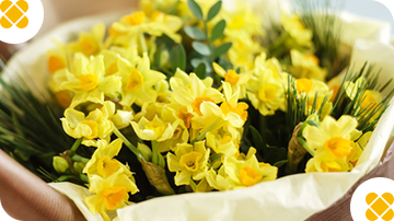 �C�G���[�E�I�����W