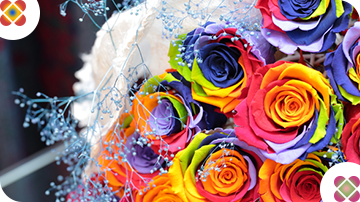 ���C���{�[