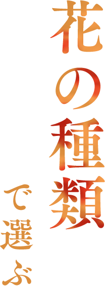 �Ԃ̎�ނőI��