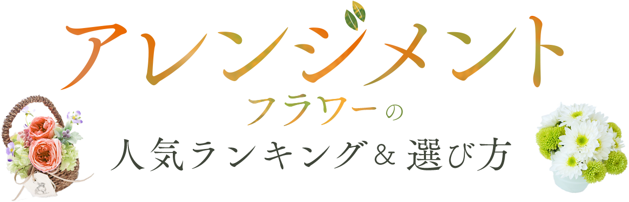 �A�����W�����g�t�����[�̐l�C�����L���O���I�ѕ�