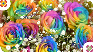 ���C���{�[