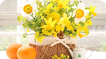 �o�X�P�b�g�A�����W