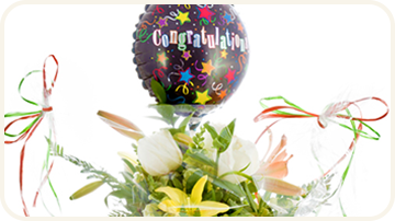 �o���[���A�����W