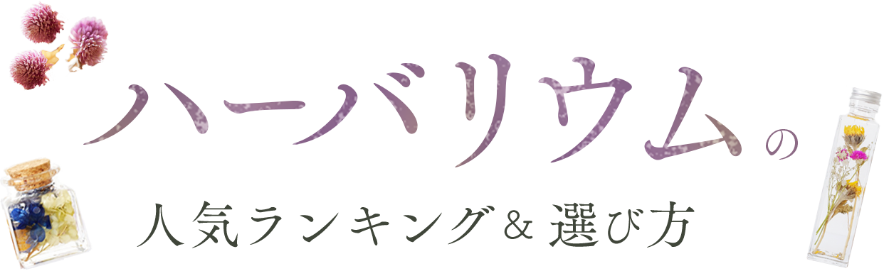 �n�[�o���E���̐l�C�����L���O���I�ѕ�