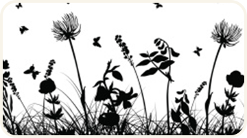 �t�B����