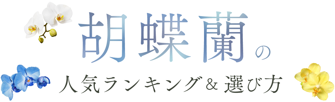 �Ӓ����̐l�C�����L���O���I�ѕ�