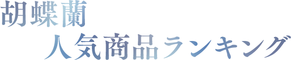 価格 Com 胡蝶蘭の人気ランキング 選び方