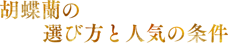 �Ӓ����̑I�ѕ��Ɛl�C�̏���