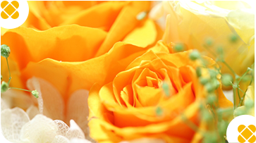 �C�G���[�E�I�����W