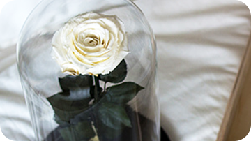 �K���X�h�[��