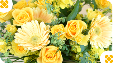 �C�G���[�E�I�����W