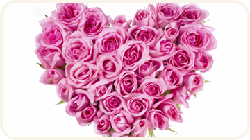 �n�[�g���`�[�t