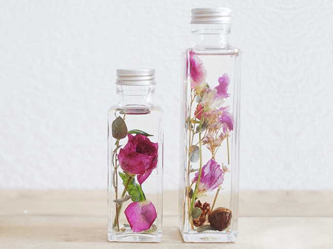 �n�[�o���E��