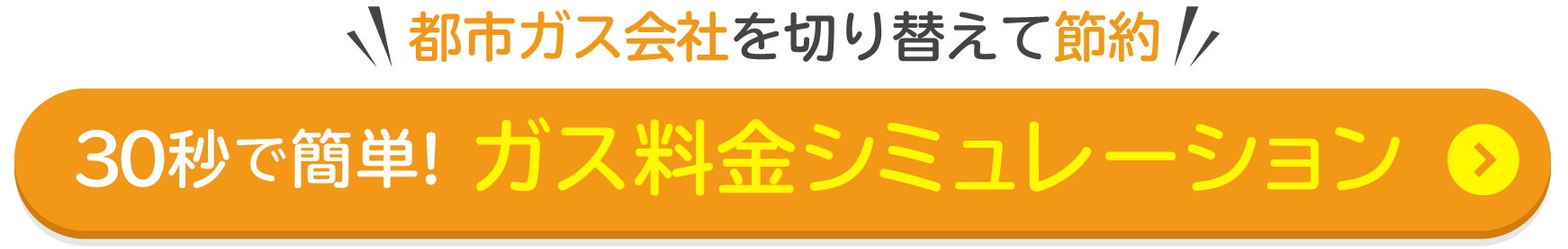 30�b�ŊȒP�I�K�X�����V�~�����[�V����