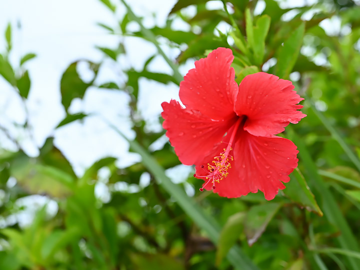 F5.6