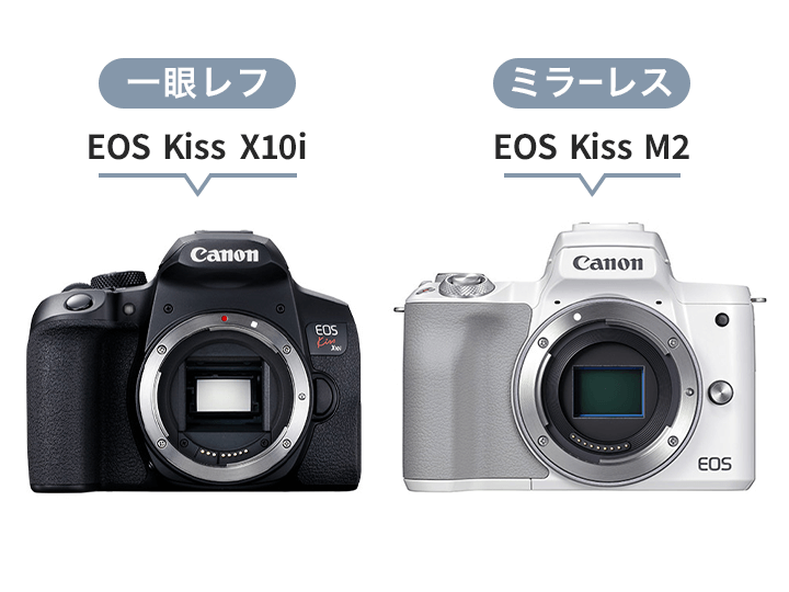 キャノン Canon EOS-R3 ボディー ミラーレス一眼レフカメラ カメラ