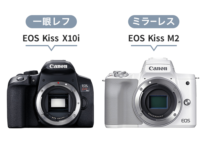 CANON 一眼レフカメラ smcint.com