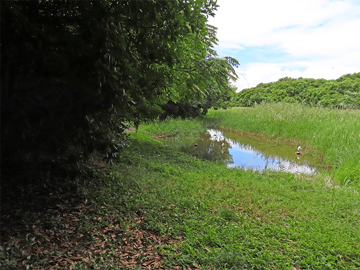 広角24mm(光学1倍)で撮った写真