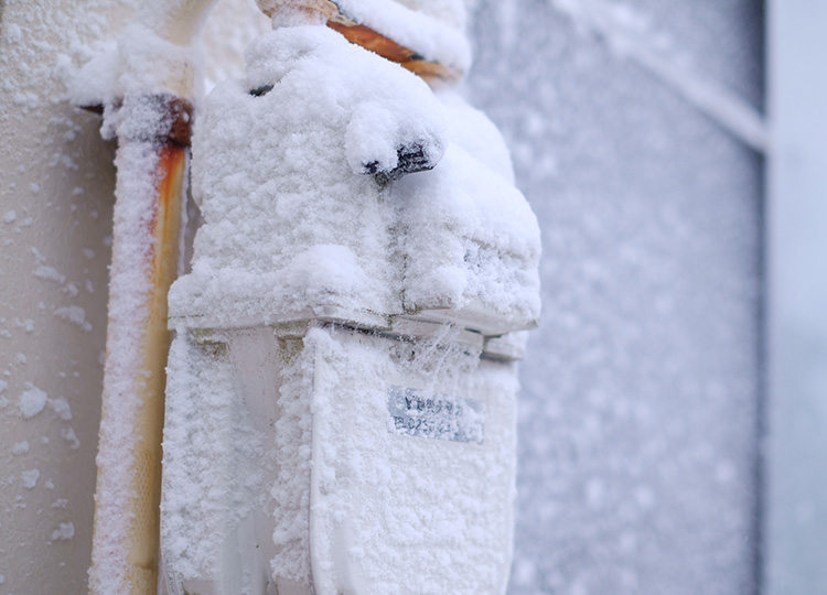 ����n�d�l