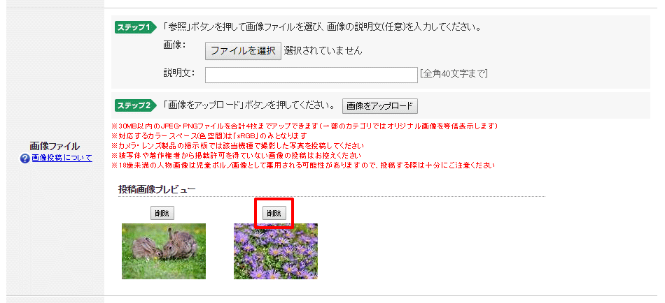 画像投稿