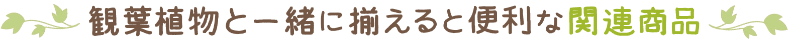 ϗtAƈꏏɑƕ֗Ȋ֘Ai