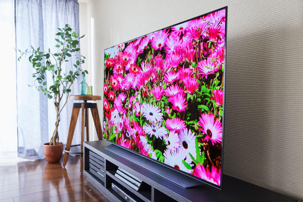 【美品】LG OLED55C9PJA 有機ELテレビ 4K対応 Alexa搭載