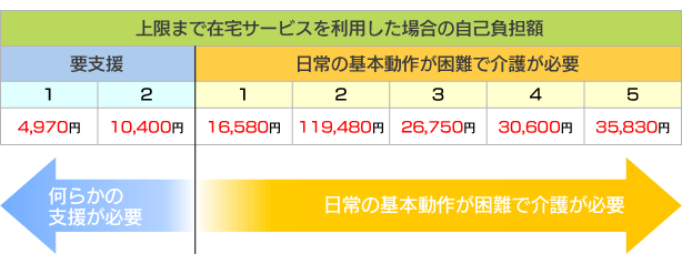 <図版1>医療費用特約付医療保険の例