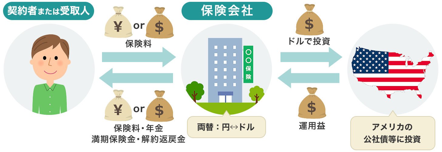 価格.com - ドル建て保険ってどんな保険？ 加入のベストなタイミングは？ | 生命保険の選び方・比較方法